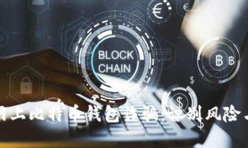 如何防范网上比特币钱包诈骗：识别风险与安全技巧